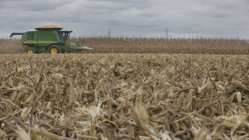 North American Farmers Baling Food Crops to Support Drought-hit Livestock Industry