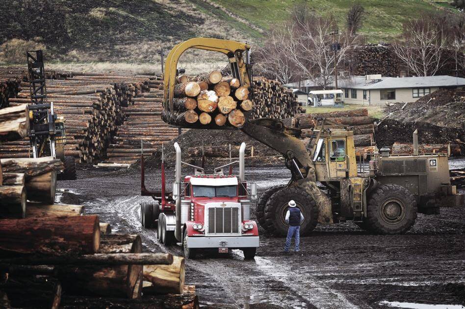 Lumber Prices Hit Plateau as Housing Reaches Equilibrium State
