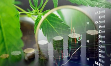 Why You Should Pay Attention to US Marijuana Stocks