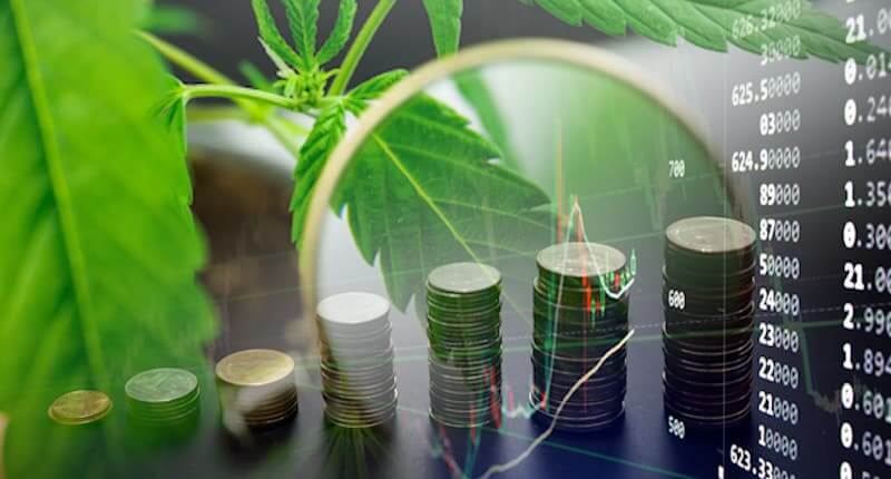Why You Should Pay Attention to US Marijuana Stocks